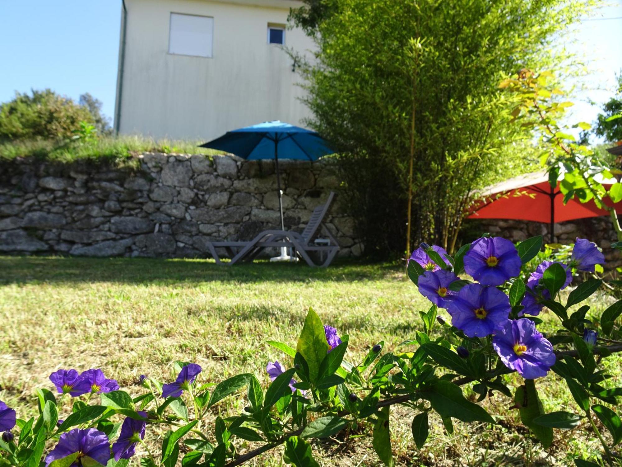 A Casa Com 2 Pereiras Bed & Breakfast Terras de Bouro Ngoại thất bức ảnh